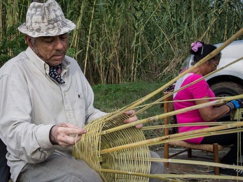 Roma traditional craft: basket weaving